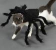 Pet Spider Costume Halloween Simulation Plush Spider Clothe with Adjustable Neck Paste Buckle for Dog Cats Pet